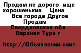 Продам не дорого ,ище хорошенькие  › Цена ­ 100 - Все города Другое » Продам   . Свердловская обл.,Верхняя Тура г.